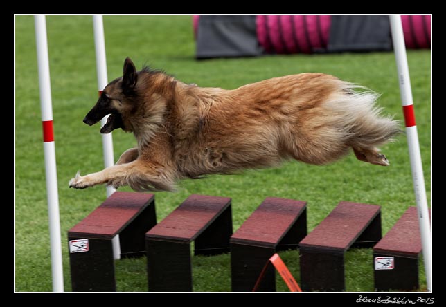 FMBB 2015, Agility 1, 8.5.2015