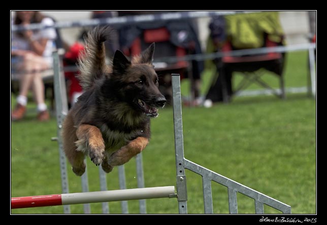 FMBB 2015, Agility 1, 8.5.2015