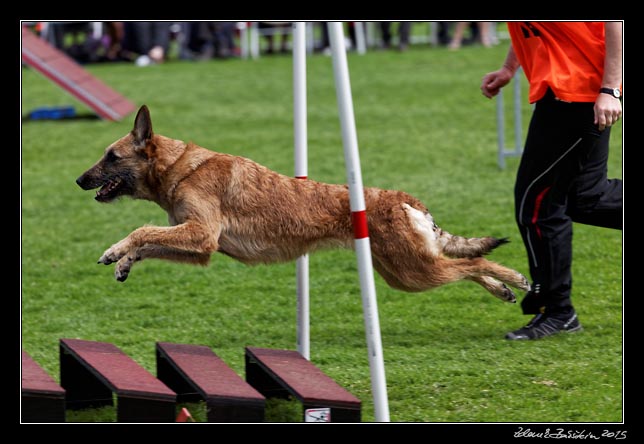 FMBB 2015, Agility 1, 8.5.2015