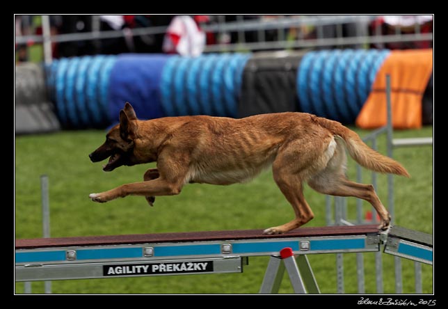 FMBB 2015, Agility 1, 8.5.2015