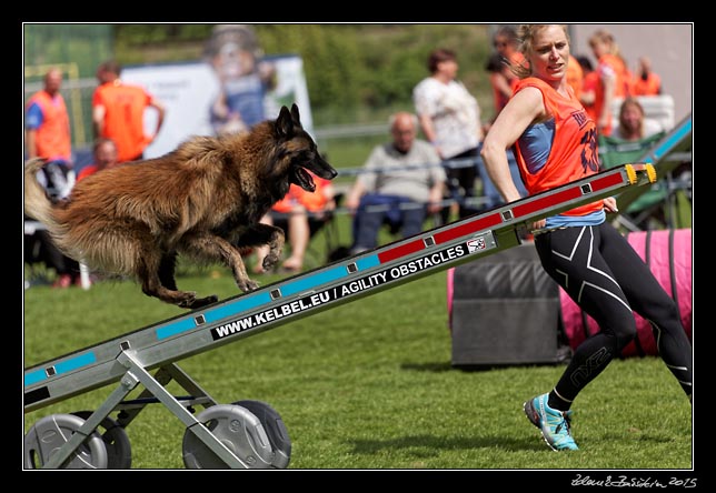 FMBB 2015, Agility 1, 8.5.2015