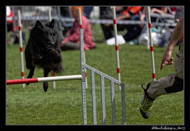 FMBB 2015, Agility 1, 8.5.2015