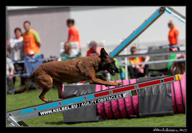 FMBB 2015, Agility 1, 8.5.2015