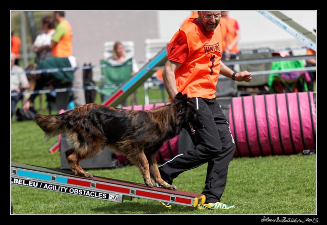 FMBB 2015, Agility 1, 8.5.2015