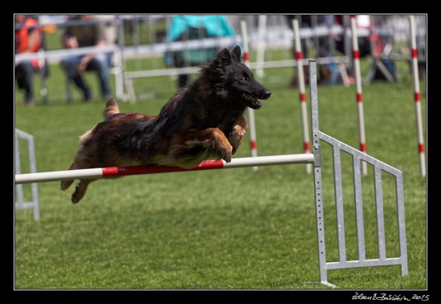 FMBB 2015, Agility 1, 8.5.2015