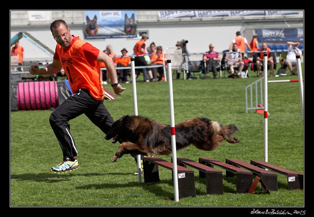 FMBB 2015, Agility 1, 8.5.2015