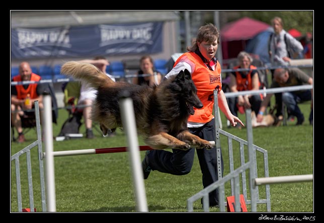 FMBB 2015, Agility 1, 8.5.2015