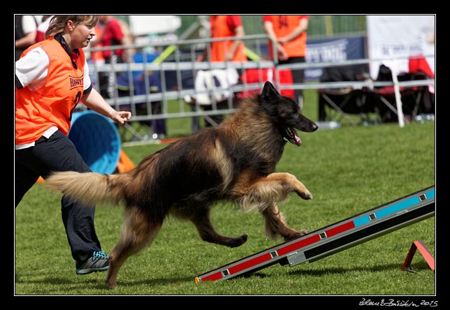 FMBB 2015, Agility 1, 8.5.2015