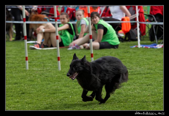 FMBB 2015, Agility 1, 8.5.2015