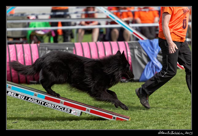 FMBB 2015, Agility 1, 8.5.2015