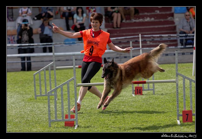 FMBB 2015, Agility 1, 8.5.2015