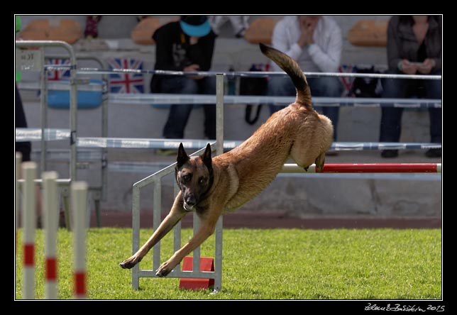 FMBB 2015, Agility 1, 8.5.2015