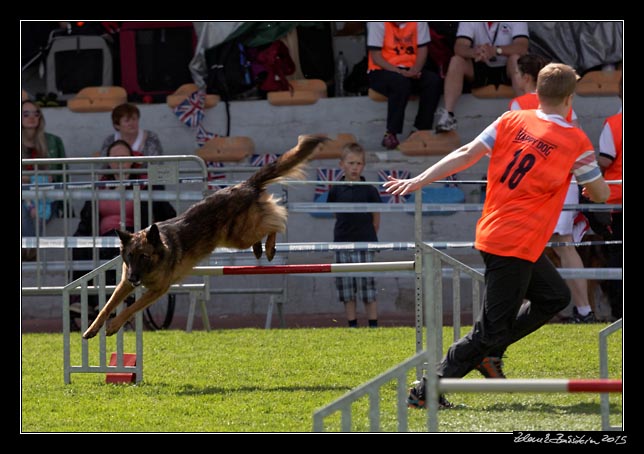 FMBB 2015, Agility 1, 8.5.2015