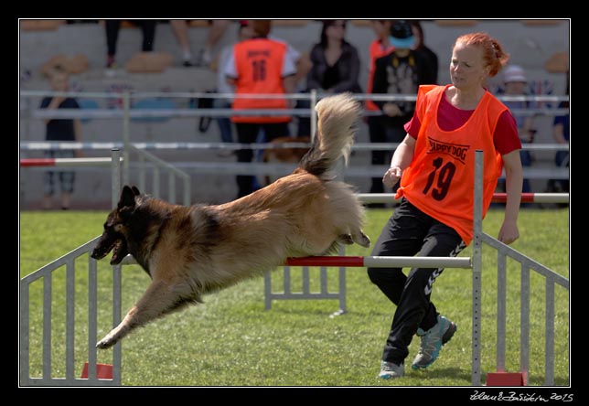 FMBB 2015, Agility 1, 8.5.2015