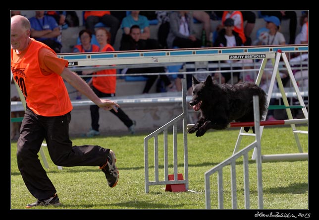 FMBB 2015, Agility 1, 8.5.2015