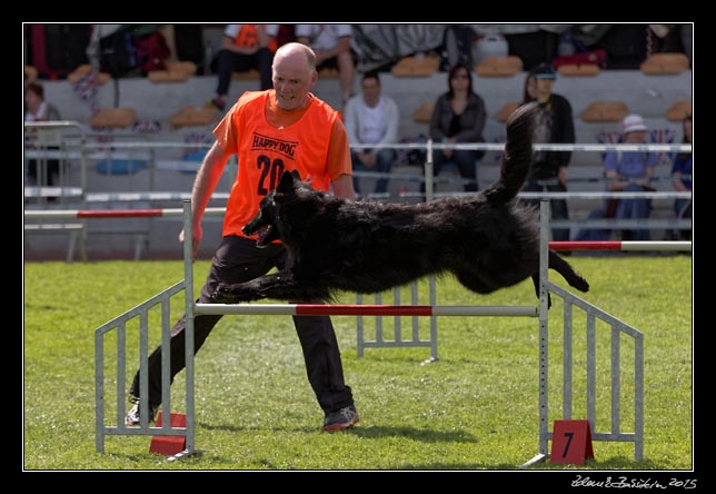 FMBB 2015, Agility 1, 8.5.2015