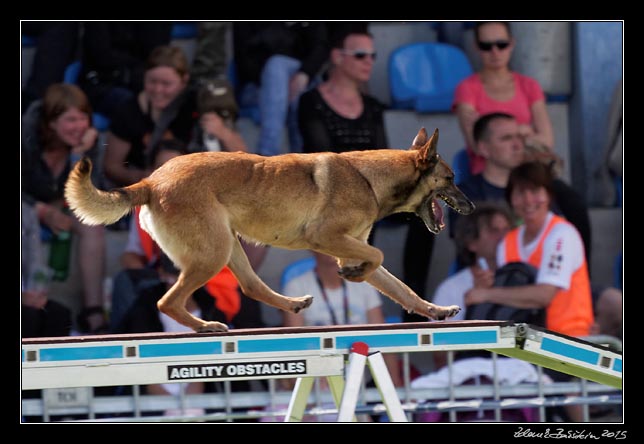 FMBB 2015, Agility 1, 8.5.2015