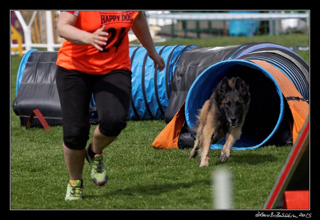 FMBB 2015, Agility 1, 8.5.2015