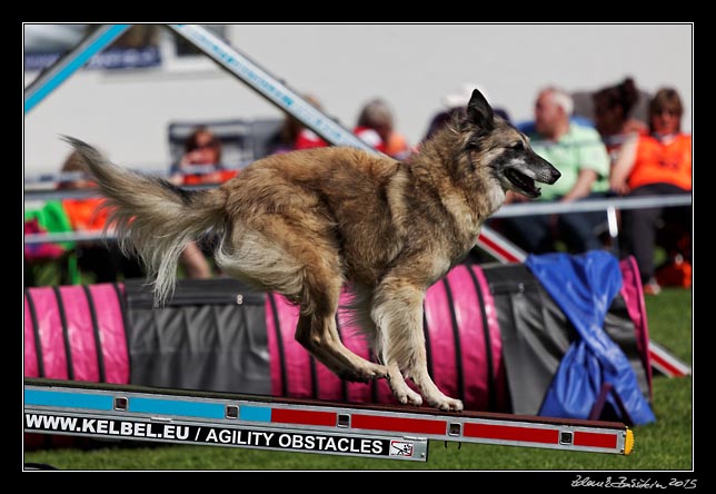 FMBB 2015, Agility 1, 8.5.2015