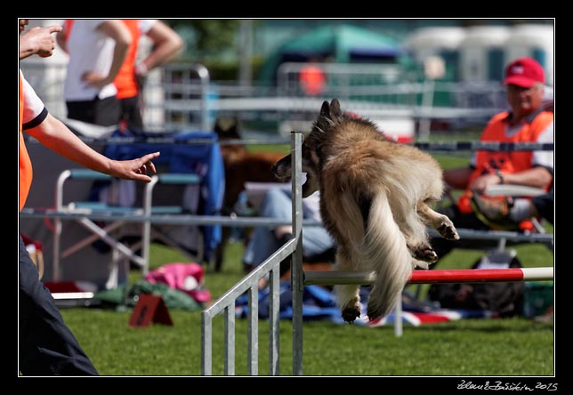 FMBB 2015, Agility 1, 8.5.2015