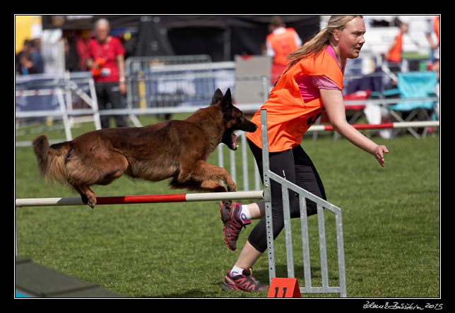 FMBB 2015, Agility 1, 8.5.2015