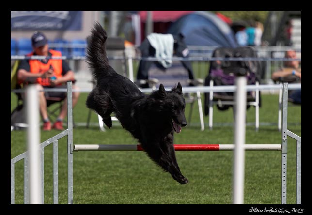 FMBB 2015, Agility 1, 8.5.2015