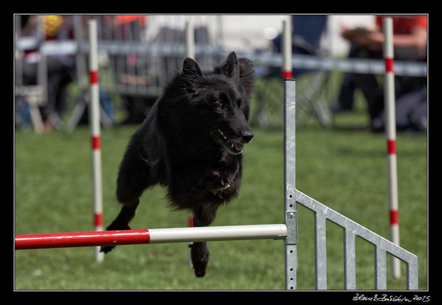 FMBB 2015, Agility 1, 8.5.2015