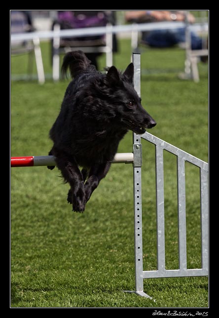 FMBB 2015, Agility 1, 8.5.2015