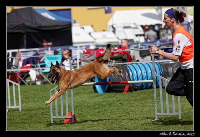 FMBB 2015, Agility 1, 8.5.2015