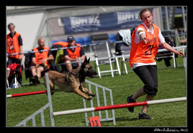 FMBB 2015, Agility 1, 8.5.2015