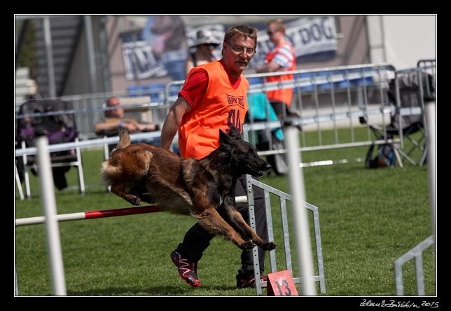 FMBB 2015, Agility 1, 8.5.2015