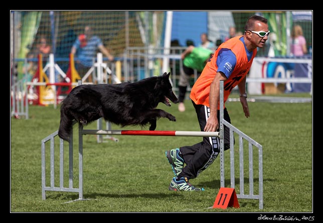 FMBB 2015, Agility 1, 8.5.2015