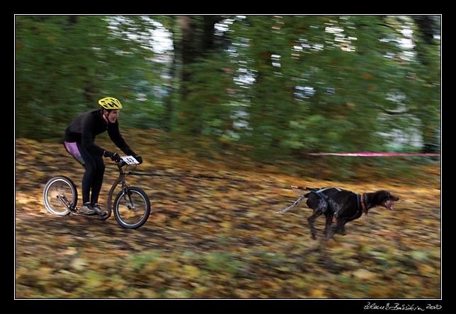 Mlad Boleslav 23.10.2010 - Svatovclavsk ps jedn