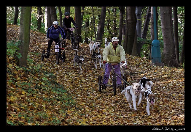 Mlad Boleslav 23.10.2010 - Svatovclavsk ps jedn