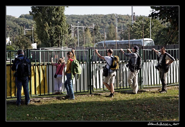 Fototvrk 2011 - fotbal