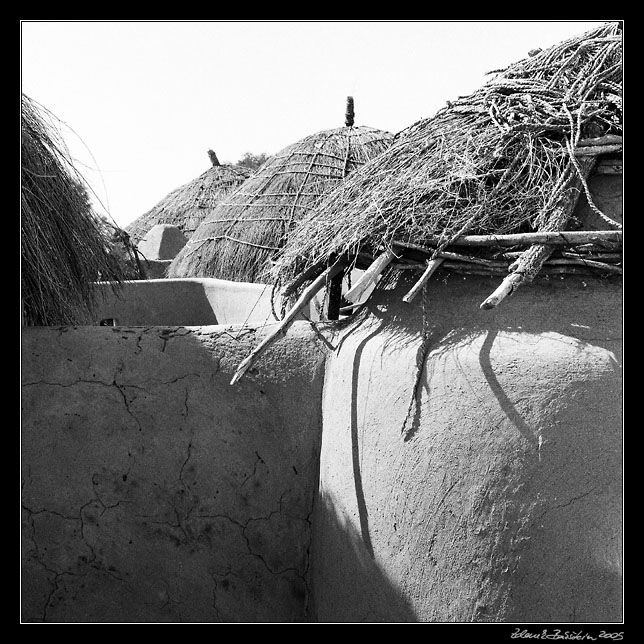 Thar desert