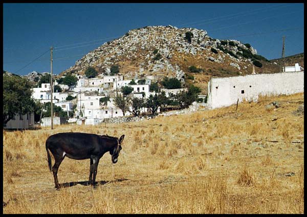 Sitanos, Kreta VIII.1996