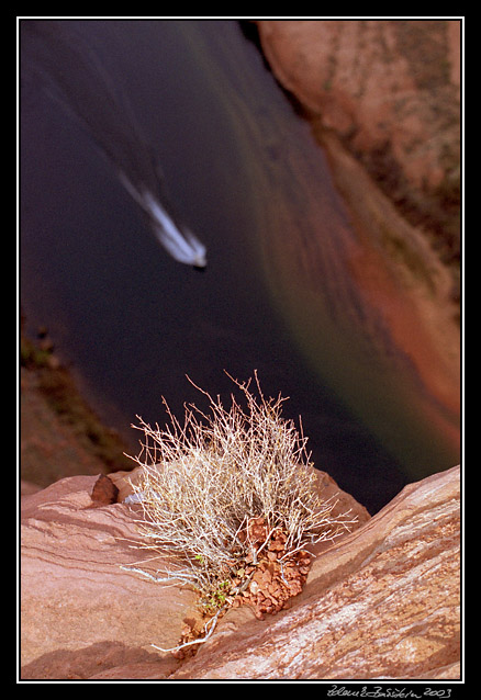 Colorado River, Arizona, USA